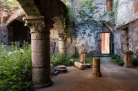 Van de ruïne van de Sint-Baafsabdij naar het Patershol
