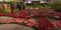 Floraliën 2026