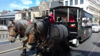 Visit Ghent with a horse tram
